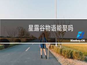 星露谷物语能娶吗