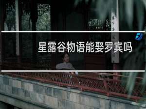 星露谷物语能娶罗宾吗