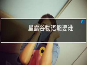 星露谷物语能娶谁