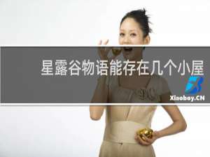 星露谷物语能存在几个小屋