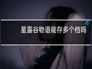 星露谷物语能存多个档吗