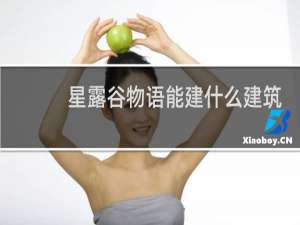 星露谷物语能建什么建筑