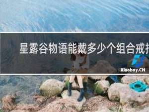 星露谷物语能戴多少个组合戒指