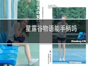 星露谷物语能手柄吗