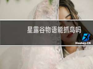 星露谷物语能抓鸟吗