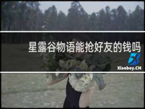星露谷物语能抢好友的钱吗