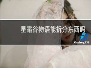 星露谷物语能拆分东西吗