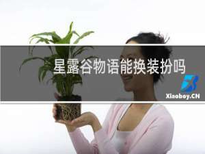 星露谷物语能换装扮吗