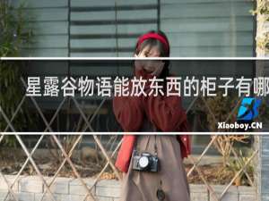 星露谷物语能放东西的柜子有哪个