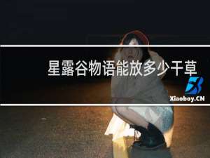 星露谷物语能放多少干草