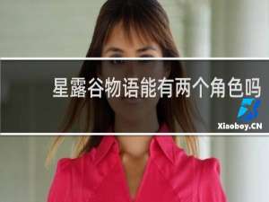 星露谷物语能有两个角色吗