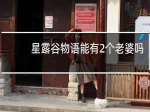 星露谷物语能有2个老婆吗