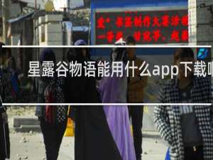 星露谷物语能用什么app下载啊