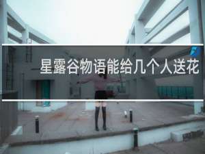 星露谷物语能给几个人送花