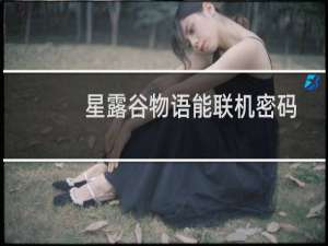 星露谷物语能联机密码