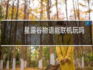 星露谷物语能联机玩吗