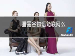 星露谷物语能联网么