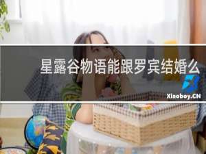 星露谷物语能跟罗宾结婚么