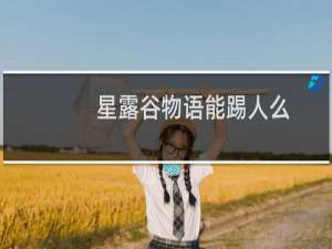 星露谷物语能踢人么