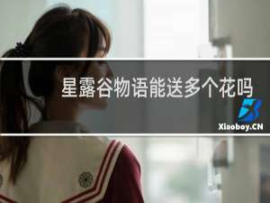 星露谷物语能送多个花吗