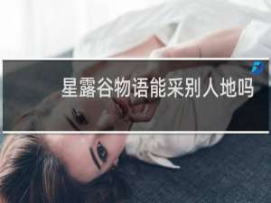 星露谷物语能采别人地吗
