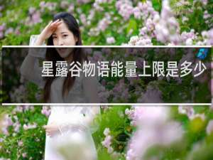 星露谷物语能量上限是多少