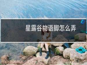 星露谷物语脚怎么弄