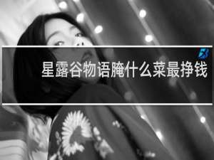 星露谷物语腌什么菜最挣钱