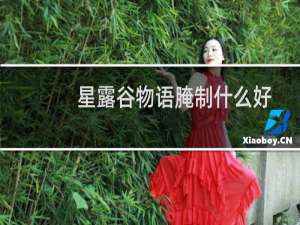 星露谷物语腌制什么好