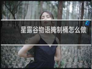 星露谷物语腌制桶怎么做