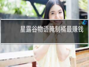 星露谷物语腌制桶最赚钱