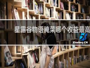 星露谷物语腌菜哪个收益最高