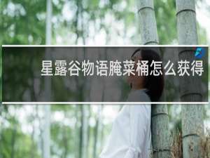 星露谷物语腌菜桶怎么获得