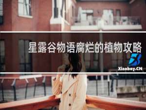星露谷物语腐烂的植物攻略