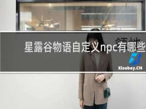 星露谷物语自定义npc有哪些