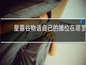 星露谷物语自己的摊位在哪里