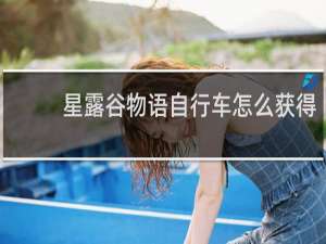 星露谷物语自行车怎么获得