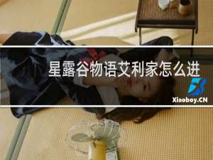 星露谷物语艾利家怎么进