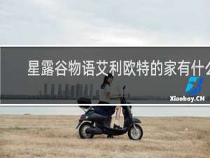 星露谷物语艾利欧特的家有什么