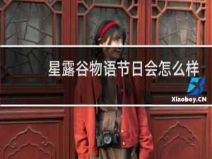星露谷物语节日会怎么样