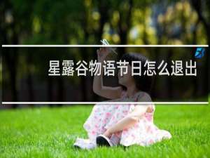 星露谷物语节日怎么退出