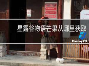 星露谷物语芒果从哪里获取