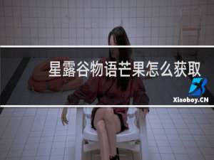 星露谷物语芒果怎么获取