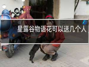 星露谷物语花可以送几个人