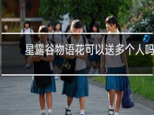 星露谷物语花可以送多个人吗