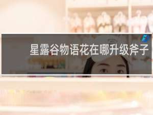 星露谷物语花在哪升级斧子