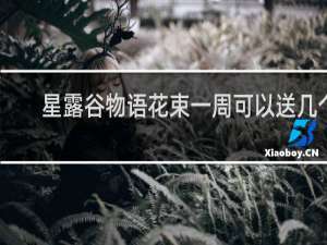 星露谷物语花束一周可以送几个