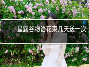 星露谷物语花束几天送一次