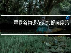 星露谷物语花束加好感度吗