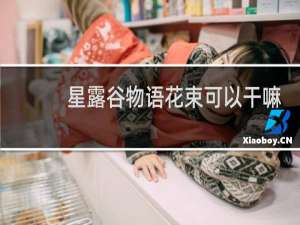 星露谷物语花束可以干嘛